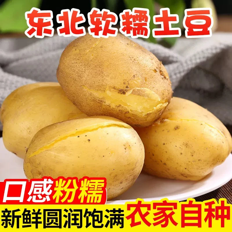 东北黄心土豆当年土豆马铃薯3/5斤