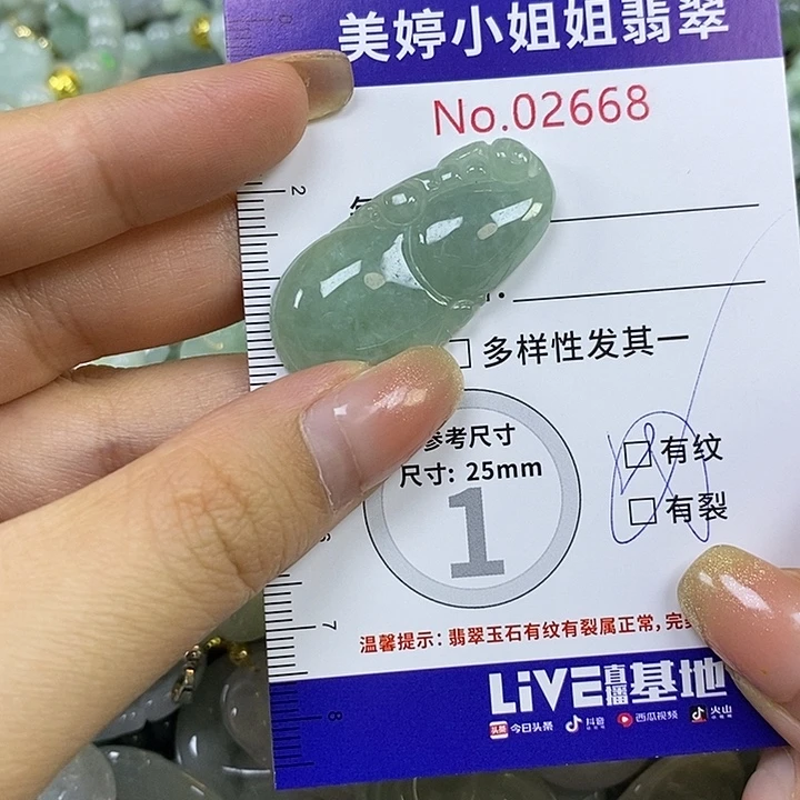 C***Y翡翠未镶嵌颈饰翡翠