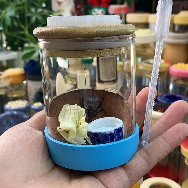 麒麟套装啊啊啊啊啊啊啊