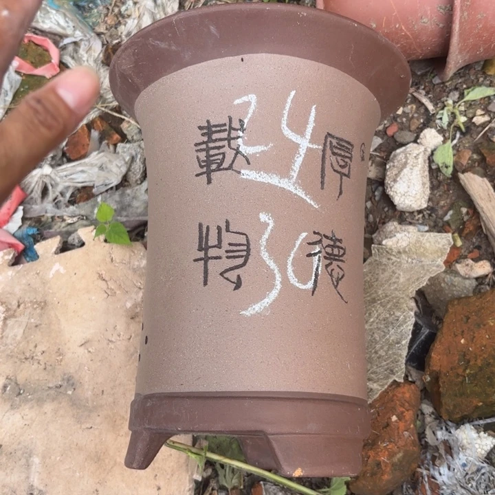 紫砂花盆紫砂的花