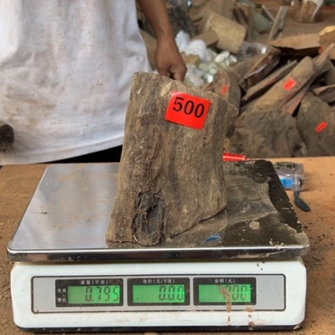 大果紫檀（缅甸花梨）