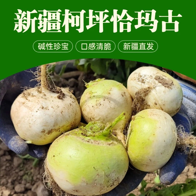 [新疆直发]正宗新疆柯坪恰玛古原生态新鲜蔬菜炖汤凉拌热炒酸碱平