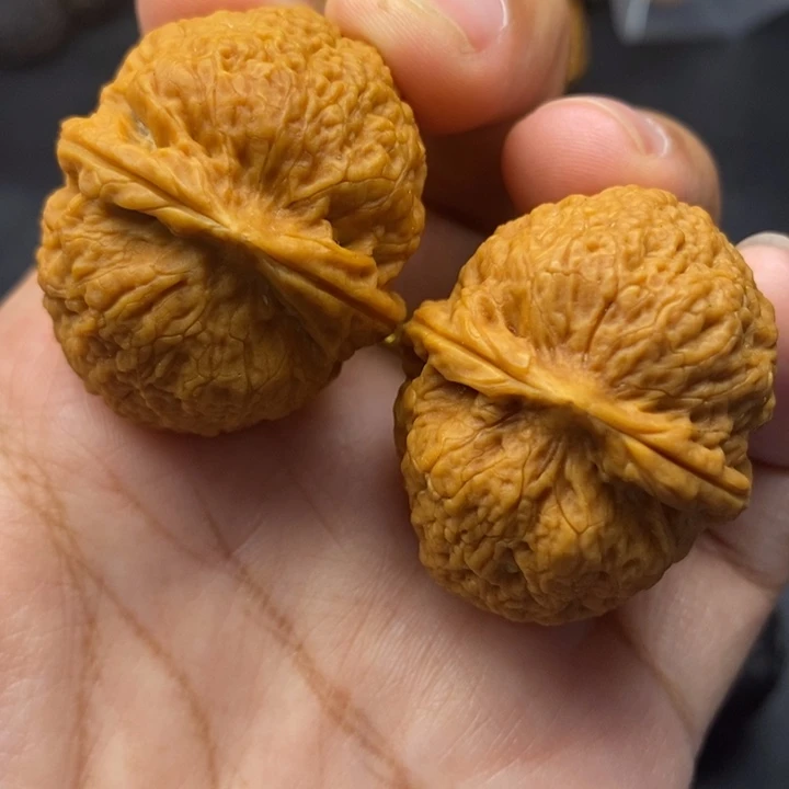 把件文玩核桃37尺密纹元宝