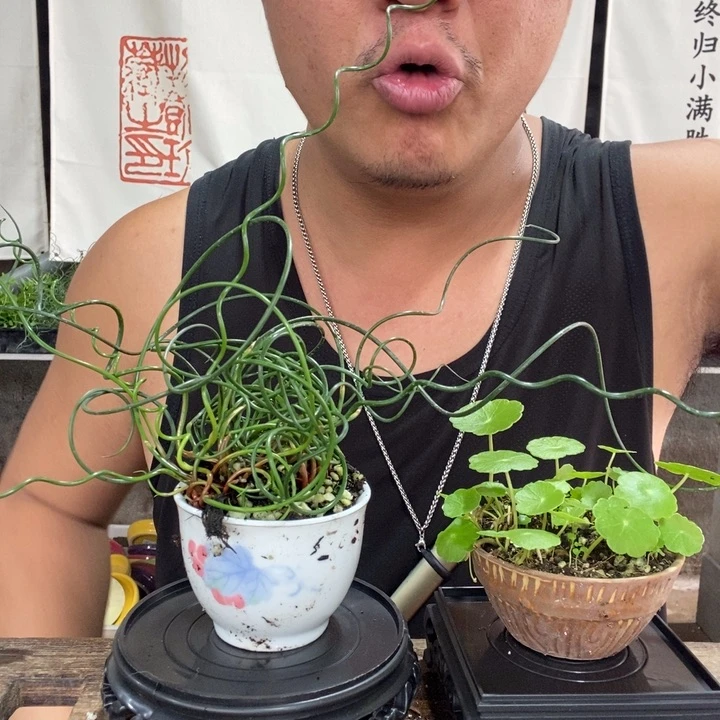 一物一拍所见即所得271