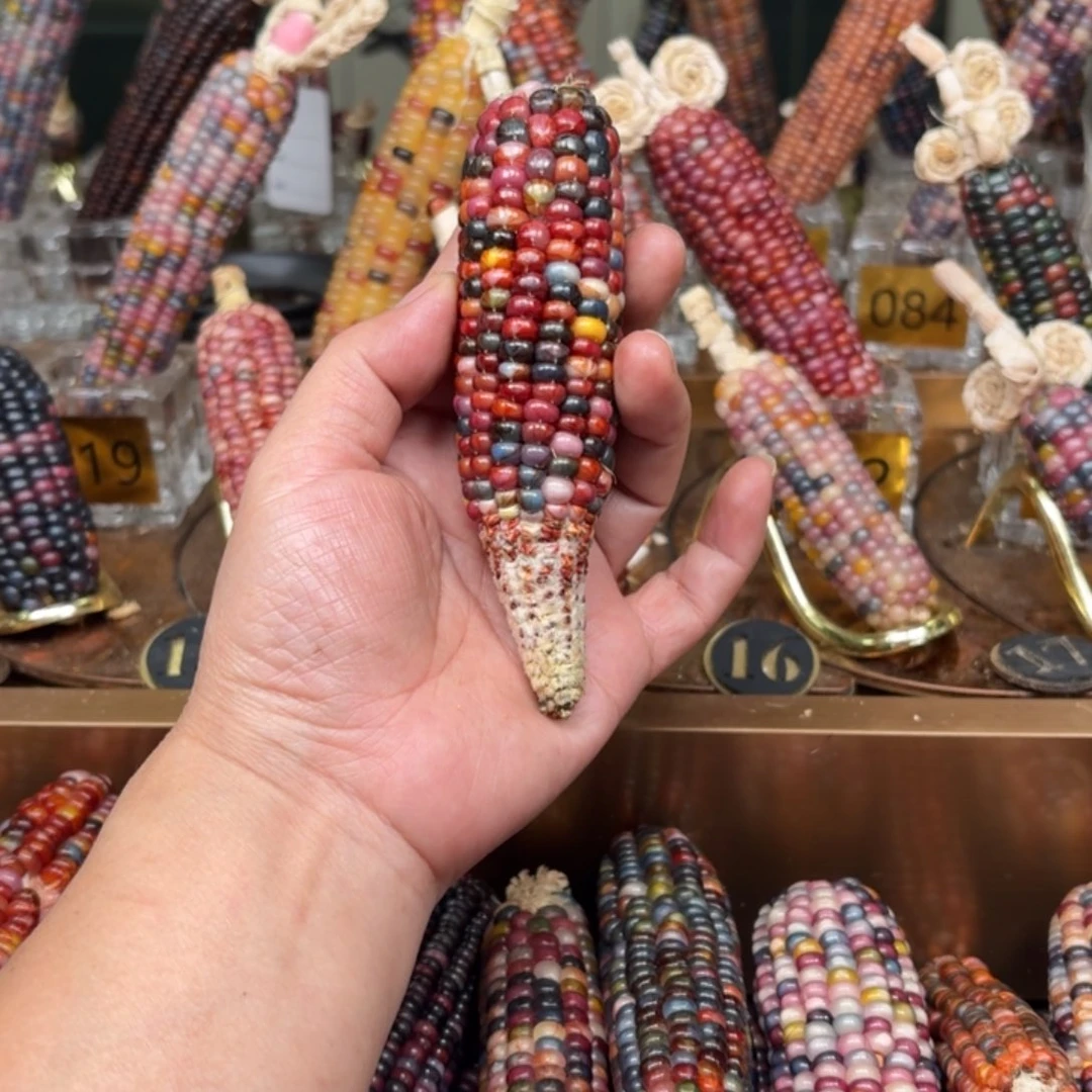 柏香籽/百香籽吊坠古*