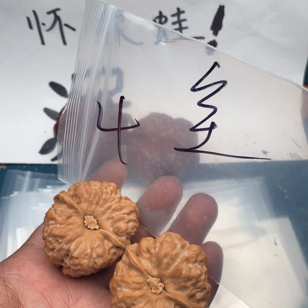 M***D核桃735375375735537537735