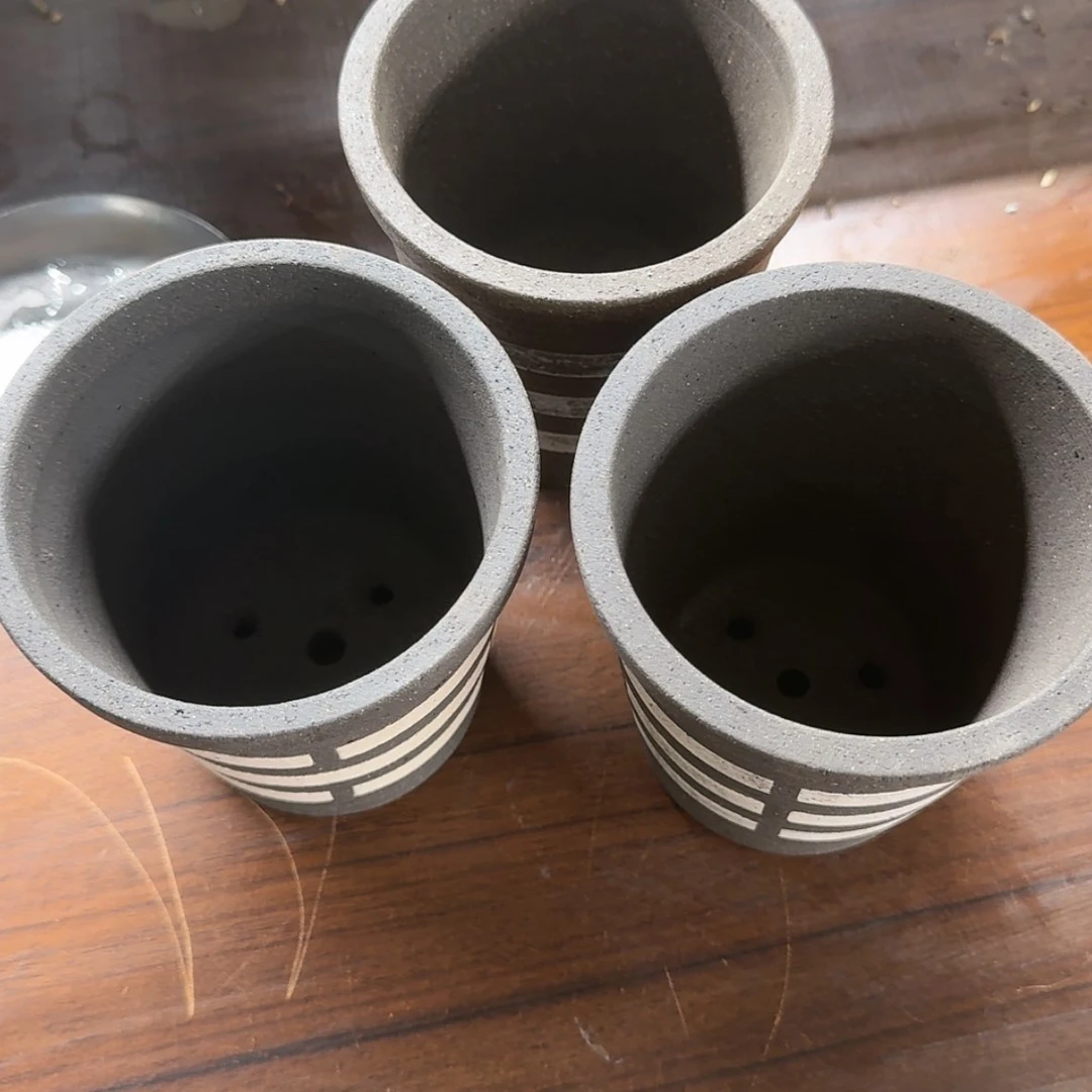 【闪购商品】三只给三个化石盲盒