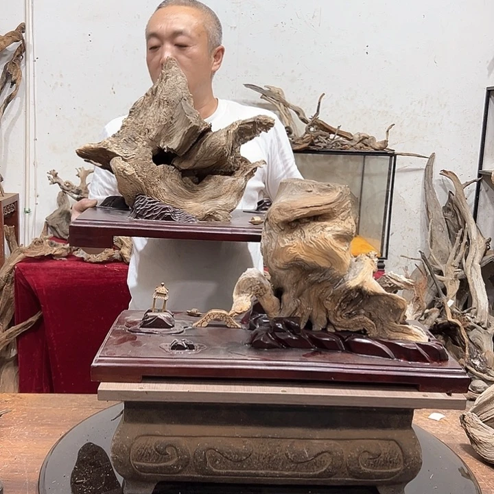 柏木呆*呗我们的生活也是如此的丰富