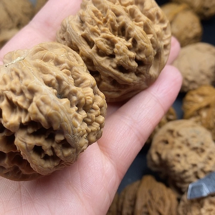 每***财龙脊菩提吊坠粗筋46