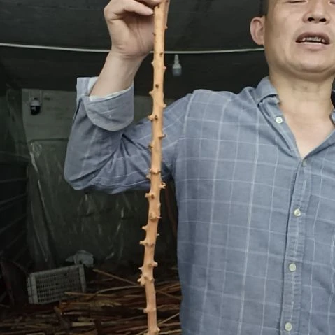 稳定木强*高山 檬子木文玩料