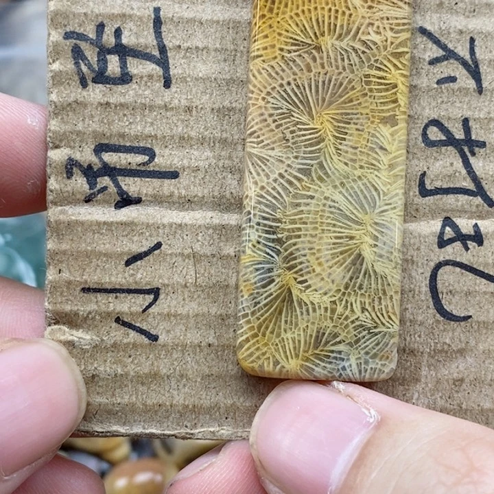 硅化珊瑚（珊瑚玉）未镶嵌颈饰飘*