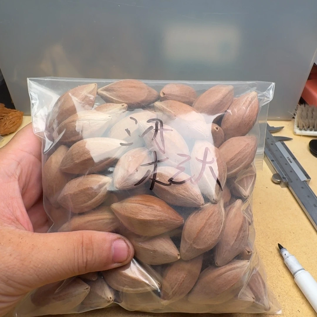 梁***大橄榄核手串/手链1