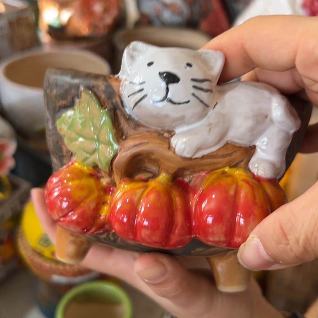 花盆，拍满20发货，退款拉黑