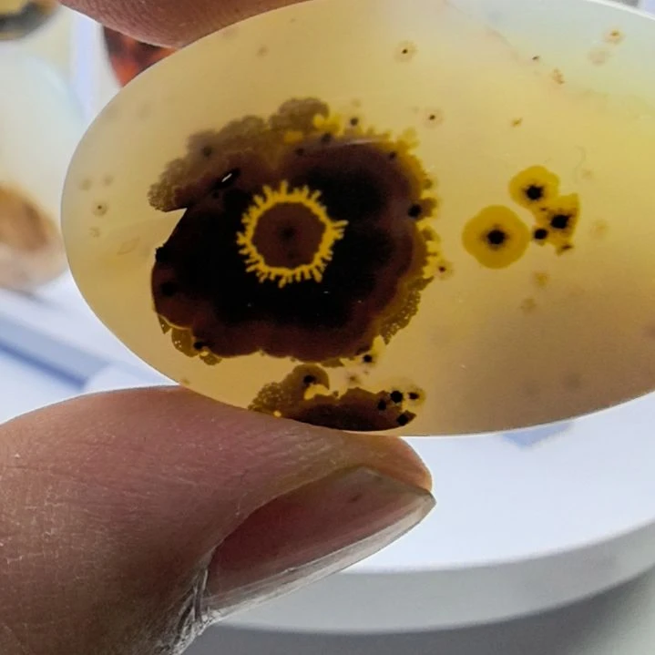 非金属时尚饰品54