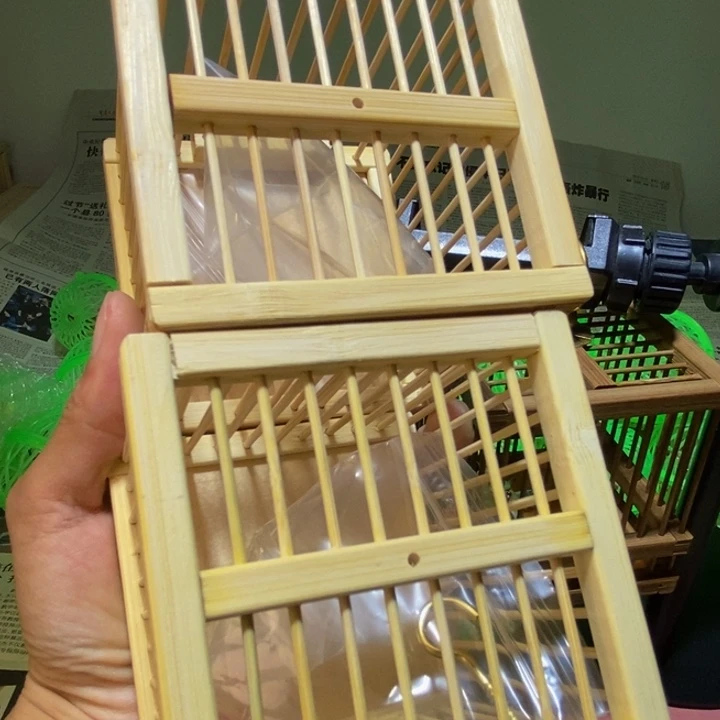 竹笼2个蝈蝈两只送饲料两盒