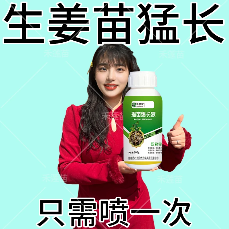 生姜提苗暴长专用生根剂大姜生根菌肥猛生根壮苗剂防黄苗死苗肥料