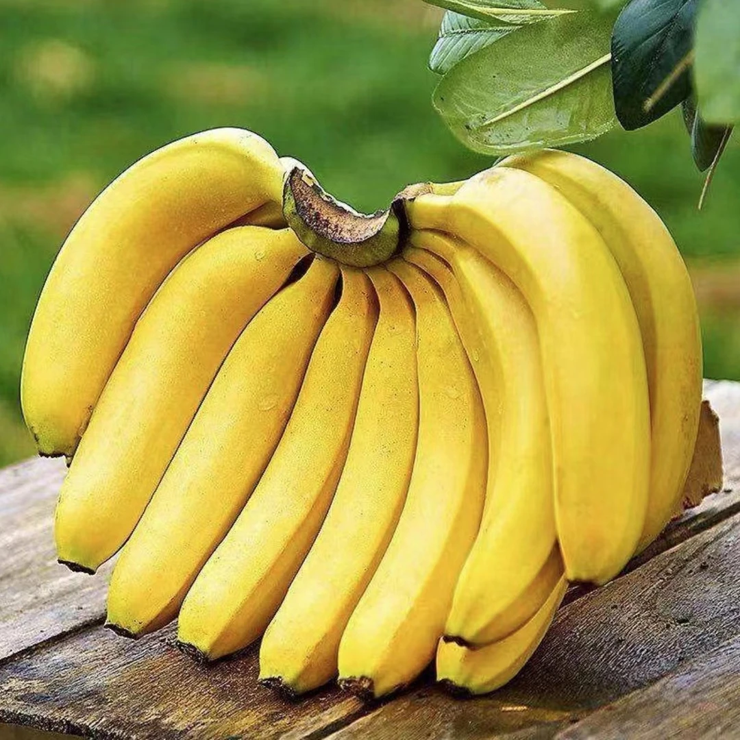 【68包邮】香蕉6根重1.7斤左右