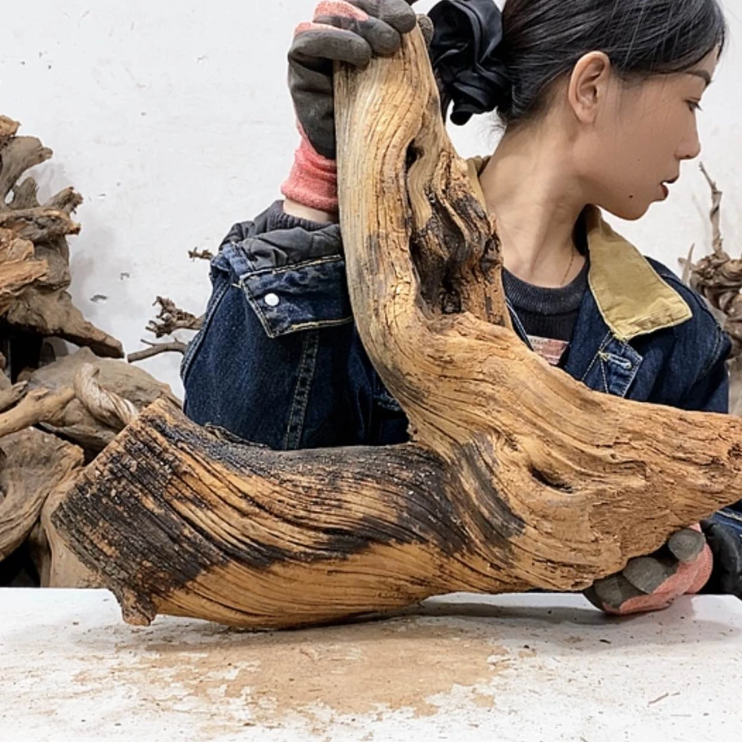 【闪购商品】柏木小*我们都是好孩子