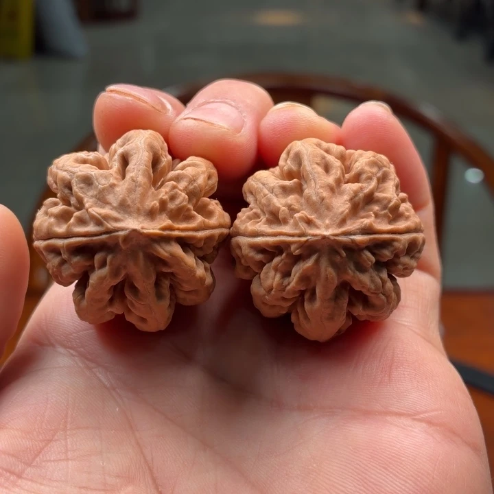 文玩核桃把件八抓金龙