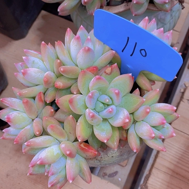 这么久不回来也没什么