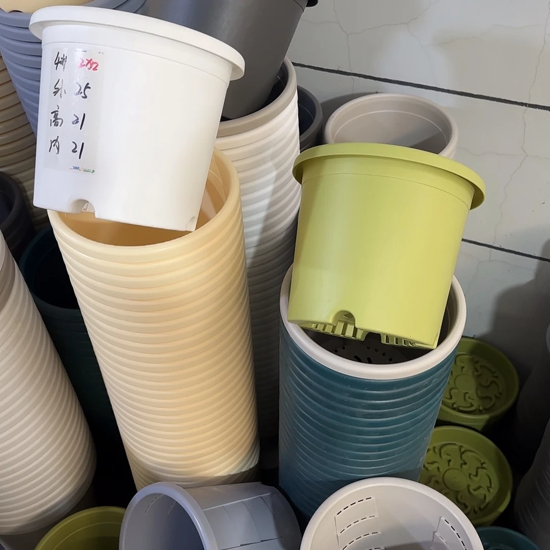 微瑕4号8个无托，果绿