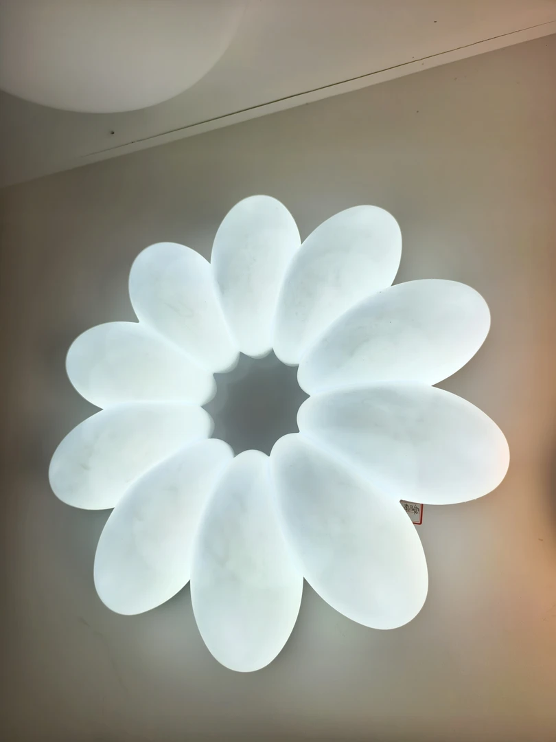创意白色北欧热弯吸顶灯餐桌卧室家用防水红轻奢圆形客厅