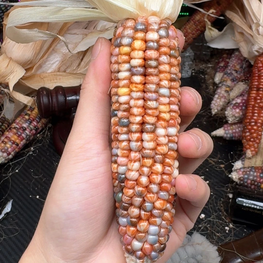 柏香籽/百香籽吊坠I****E