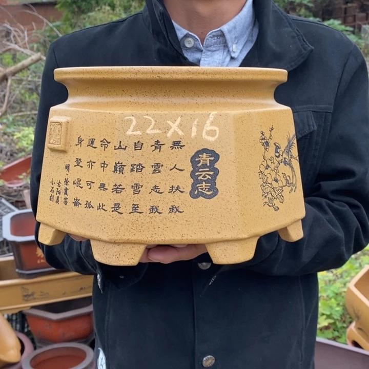 花盆紫砂紫砂艺术学院美术