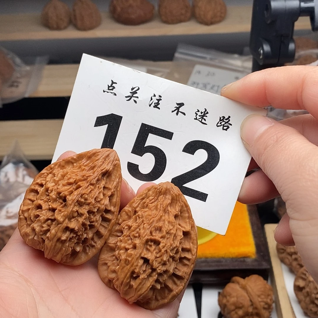 核桃38鸭嘴兽。