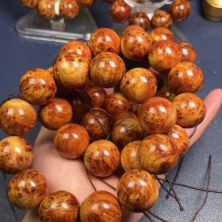 柏木（崖柏）其他蓝*88号5条