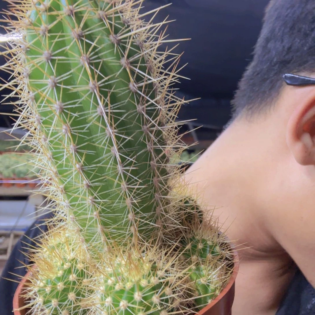 无花朵暖***g荣耀哈哈哈哈哈哈哈哈