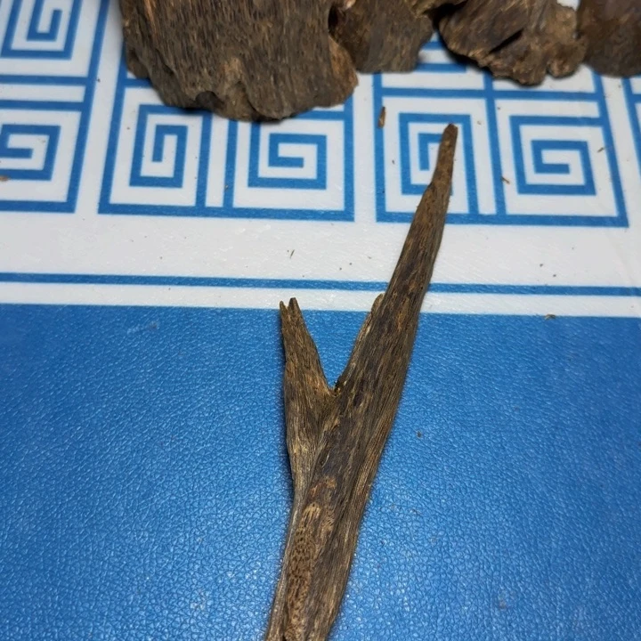 木母树莺歌绿奇树心虫漏42克