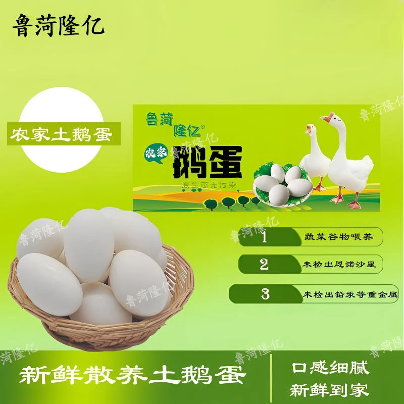 鲁菏隆亿土鹅蛋6枚礼盒装 鹅蛋保真 现捡现发 破碎包赔