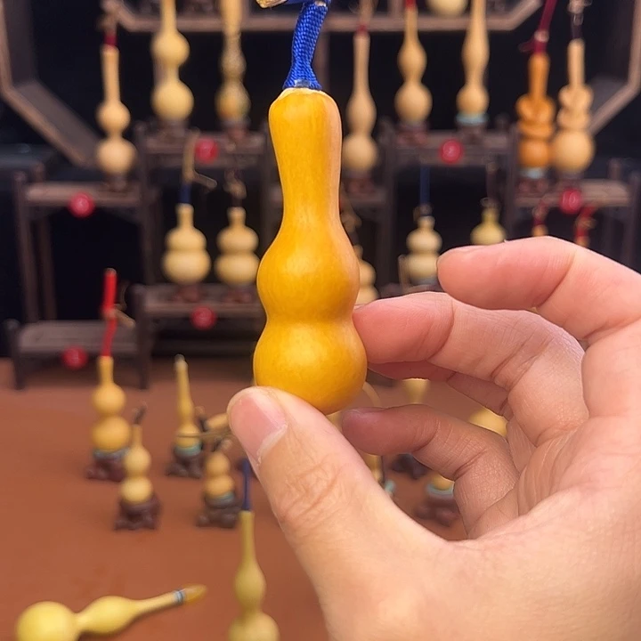 小***灰葫芦等多种颜色的花