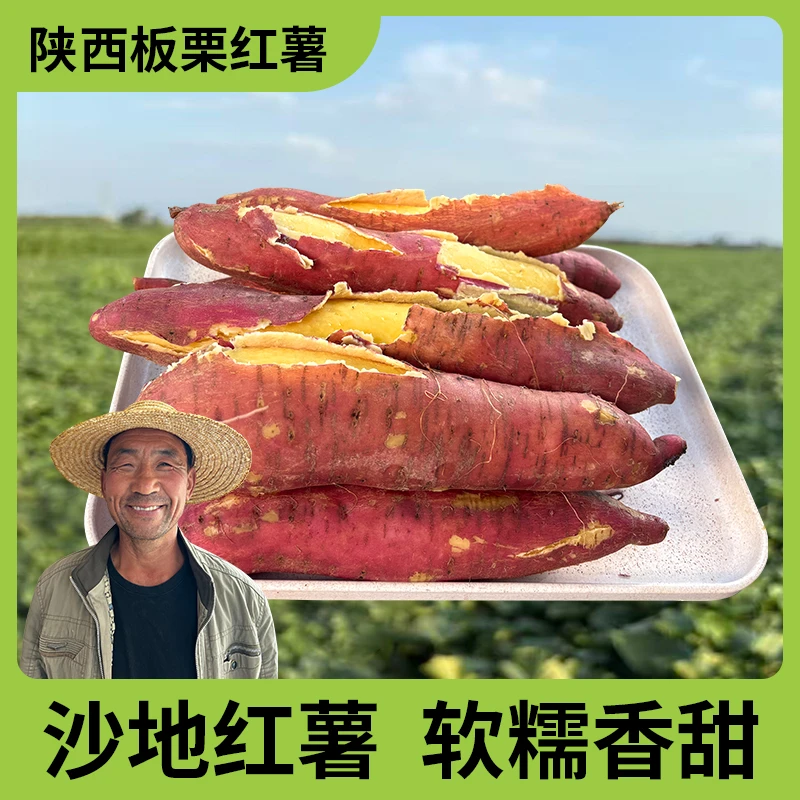 陕西板栗红薯干面甜红薯沙地红薯