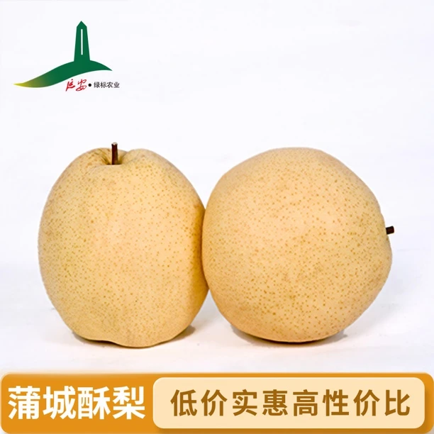 蒲城酥梨中果【京东包邮】新鲜水果脆甜多汁皮薄批发产地直发砀山梨