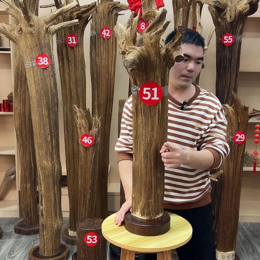 沉香碎屑沉香沉香