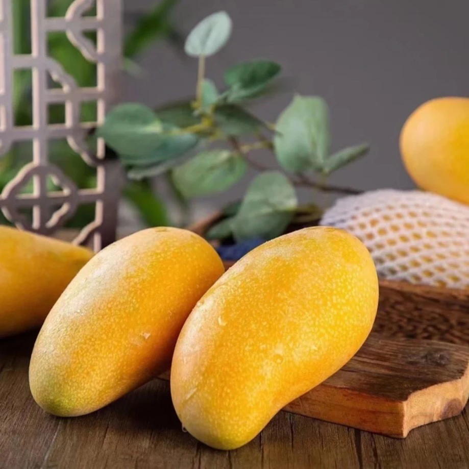 【尔布 专属】海南金煌芒果 当季新鲜 4.5斤