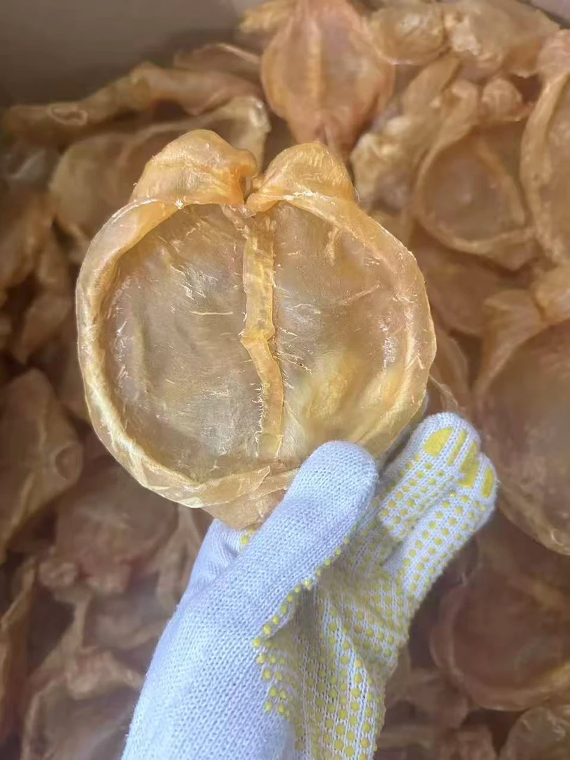 【飞飞精选】特惠款7头黄花胶