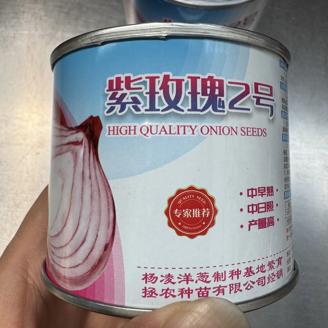 紫皮洋葱种子，扁球型