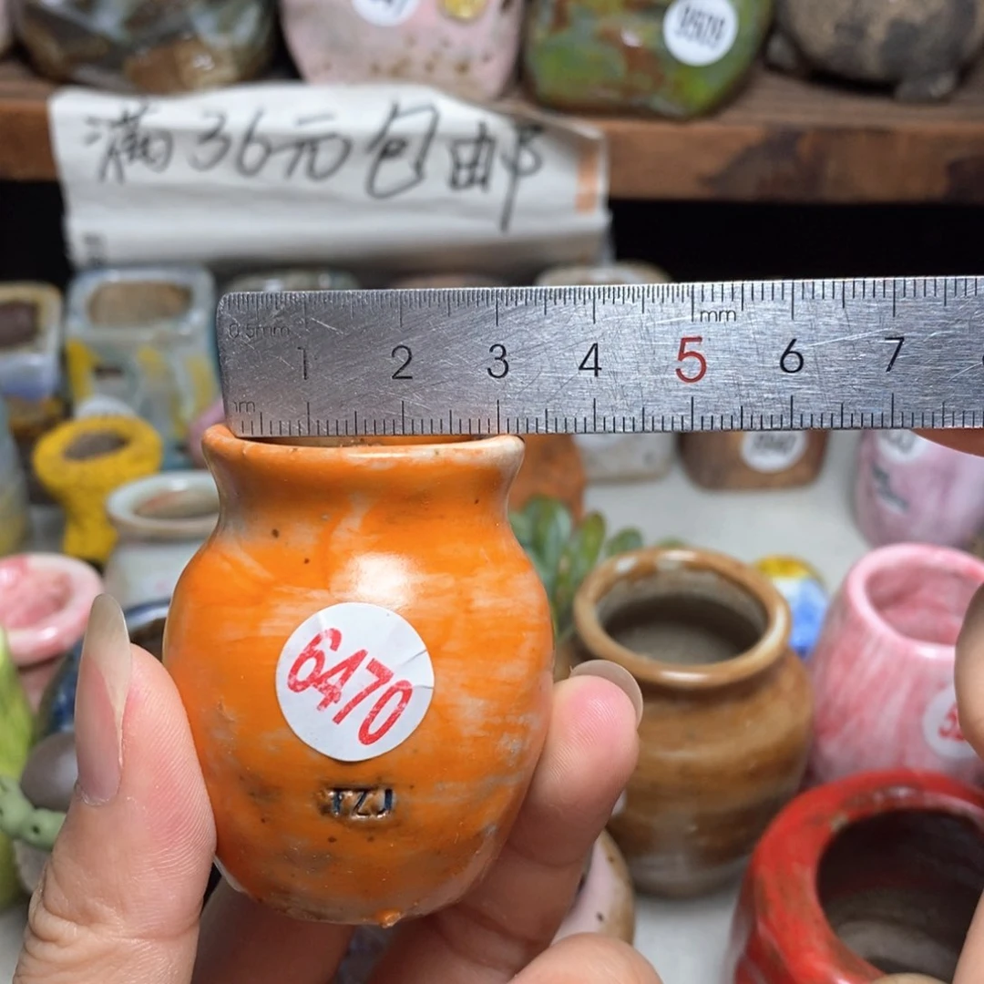 拍5送一个小礼物