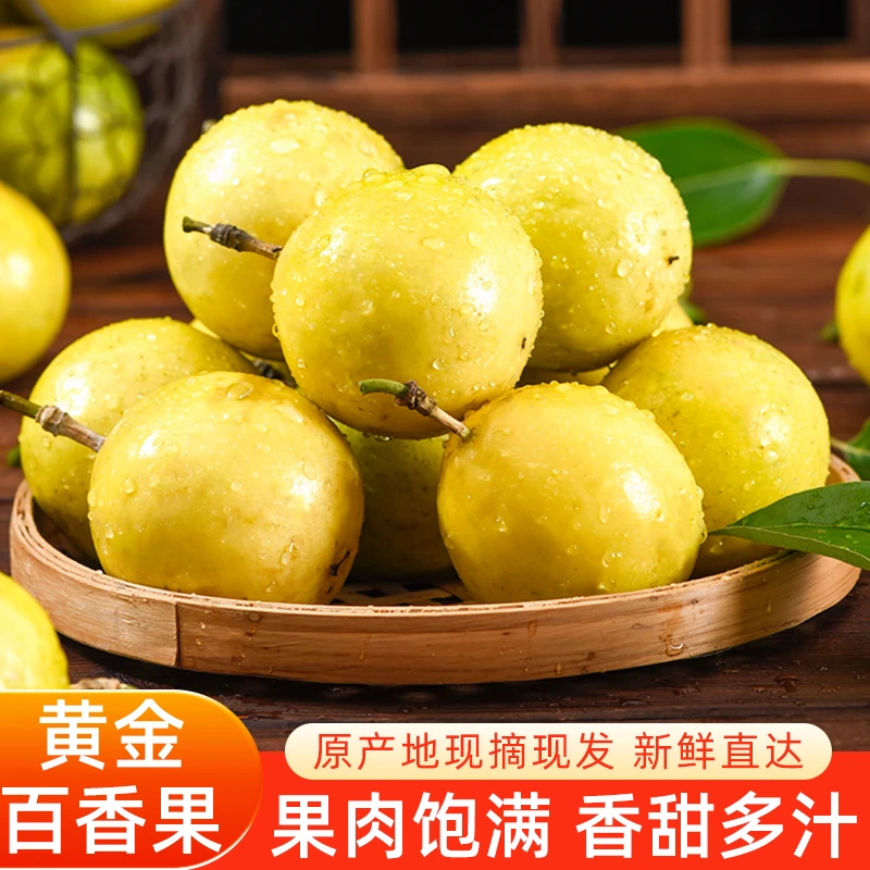 【香甜多汁】黄金百香果钦蜜9号新鲜采摘当季优质鲜果