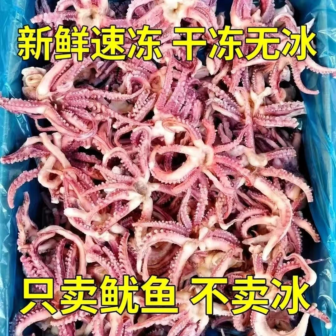 【到手5斤】新鲜脆口鱿鱼头须速冻锁鲜链发货美味鲜美可红烧辣炒