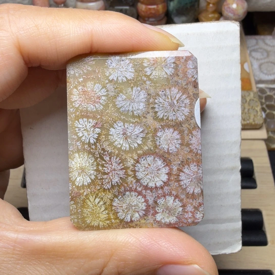 硅化玉未镶嵌彩大花，还不贵