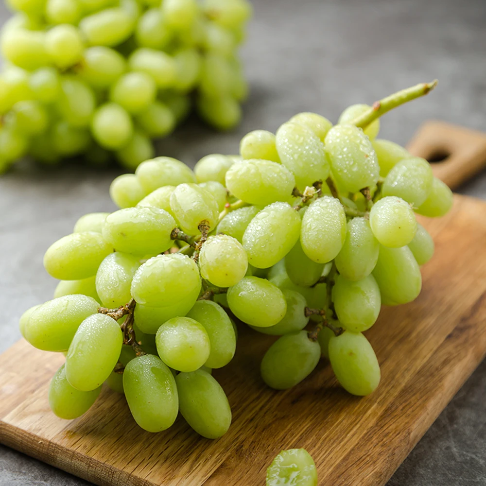 顺丰次日达吐鲁番无核白葡萄新鲜采摘新疆维吾尔自治区