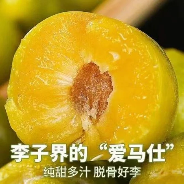 贵州六马蜂糖李现摘现发5斤新鲜脆甜李子当季孕妇水果