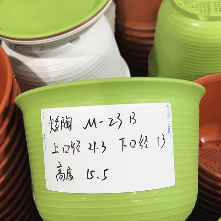 正品矮陶口21高15混色无托8只