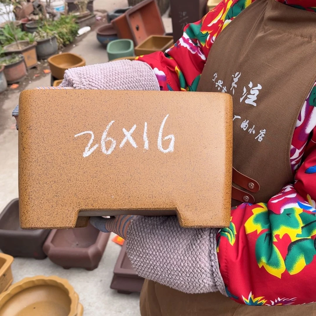 紫砂花盆盆景艺术