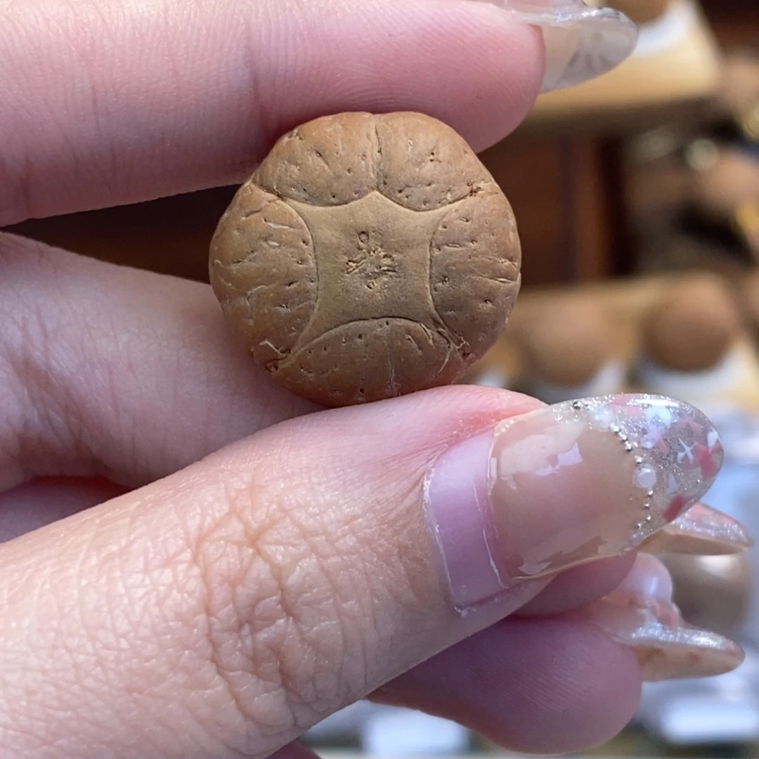 吊坠凤眼菩提五星