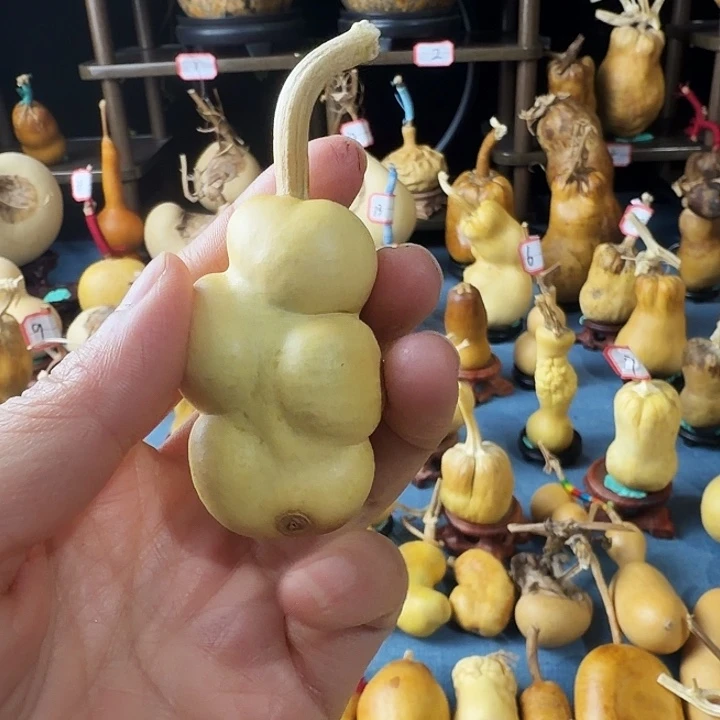 $***$大叶紫檀（黑酸枝木类）